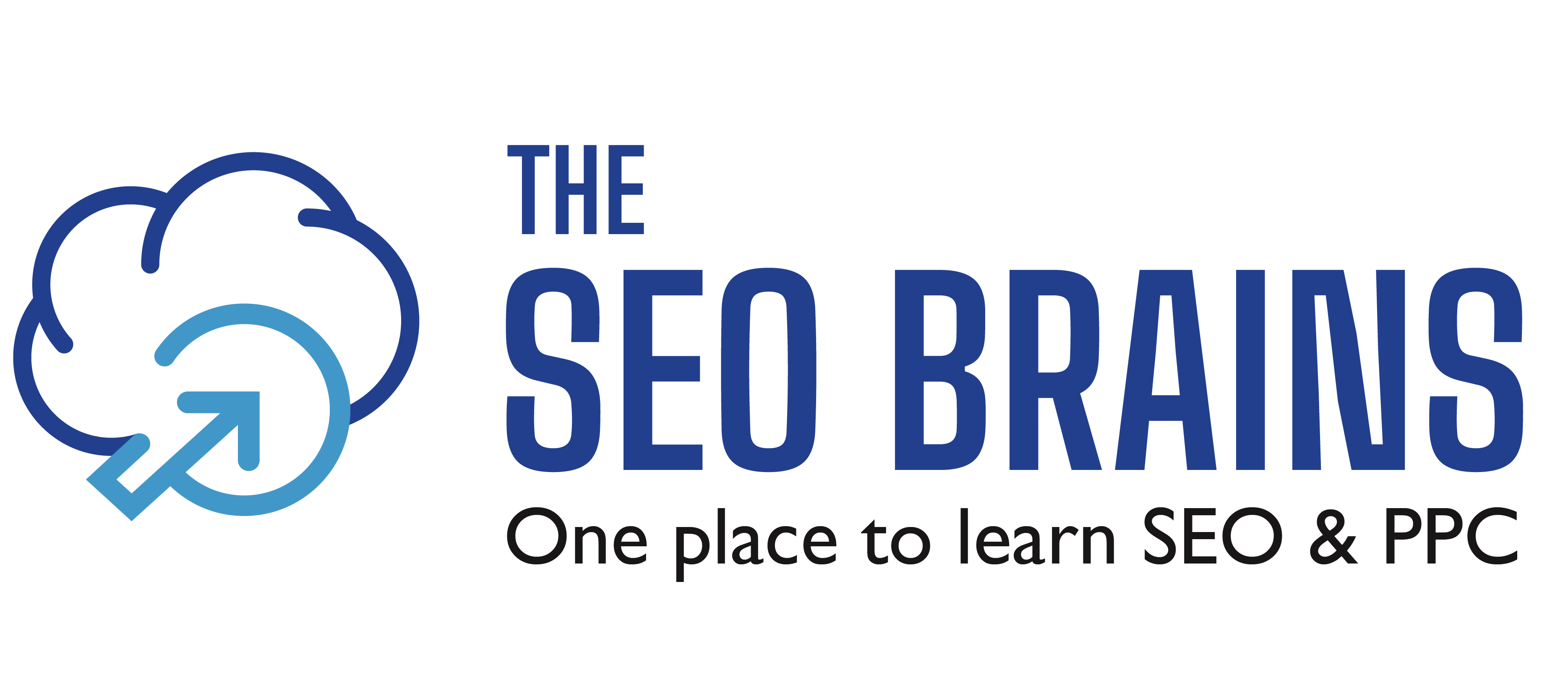 The seo brains